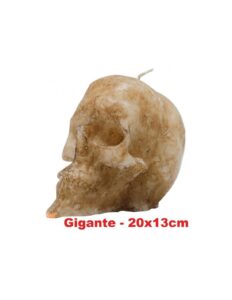 Bougie figurative Crâne naturel Très Grand